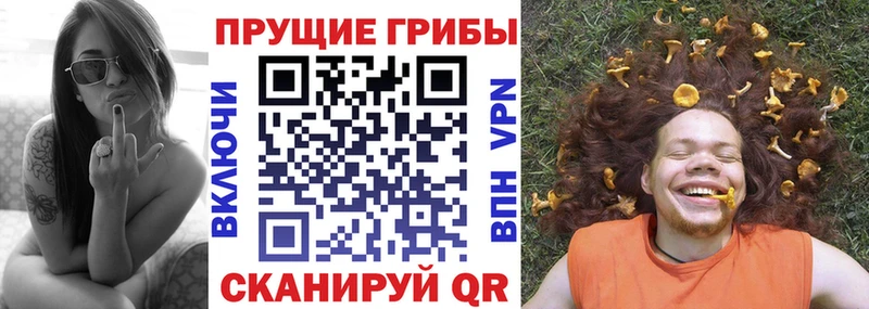 Купить закладки  Краснозаводск  Галлюциногенные грибы мухоморы 
